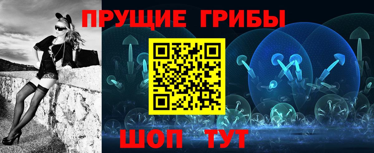 Галлюциногенные грибы Psilocybine cubensis  Псилоцибиновые грибы прущие грибы  Темрюк  Вход с VPN 