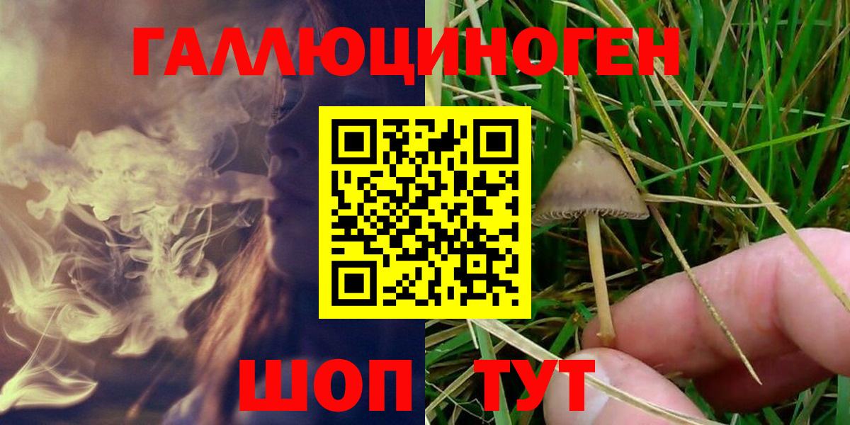 Псилоцибиновые грибы Magic Shrooms Темрюк